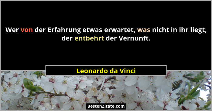 Wer von der Erfahrung etwas erwartet, was nicht in ihr liegt, der entbehrt der Vernunft.... - Leonardo da Vinci