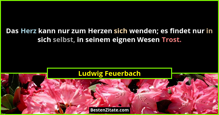 Das Herz kann nur zum Herzen sich wenden; es findet nur in sich selbst, in seinem eignen Wesen Trost.... - Ludwig Feuerbach