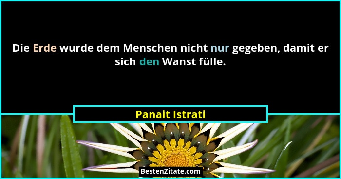 Die Erde wurde dem Menschen nicht nur gegeben, damit er sich den Wanst fülle.... - Panait Istrati