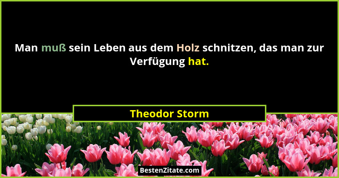 Man muß sein Leben aus dem Holz schnitzen, das man zur Verfügung hat.... - Theodor Storm