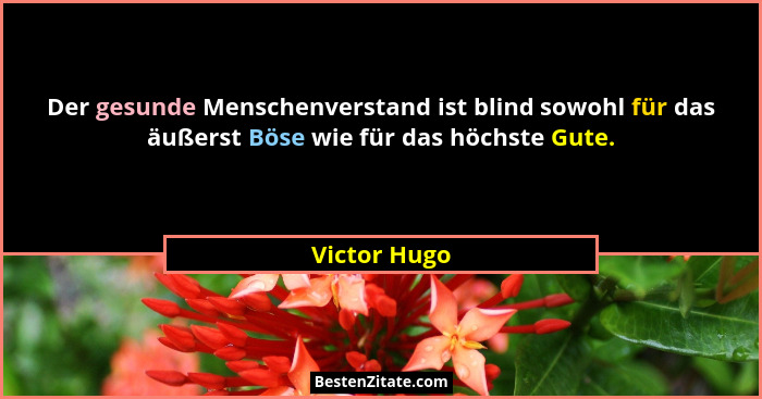 Der gesunde Menschenverstand ist blind sowohl für das äußerst Böse wie für das höchste Gute.... - Victor Hugo