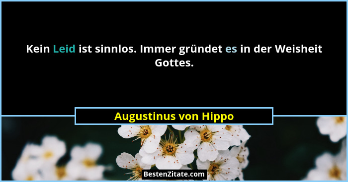 Kein Leid ist sinnlos. Immer gründet es in der Weisheit Gottes.... - Augustinus von Hippo