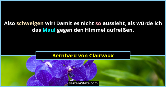 Also schweigen wir! Damit es nicht so aussieht, als würde ich das Maul gegen den Himmel aufreißen.... - Bernhard von Clairvaux