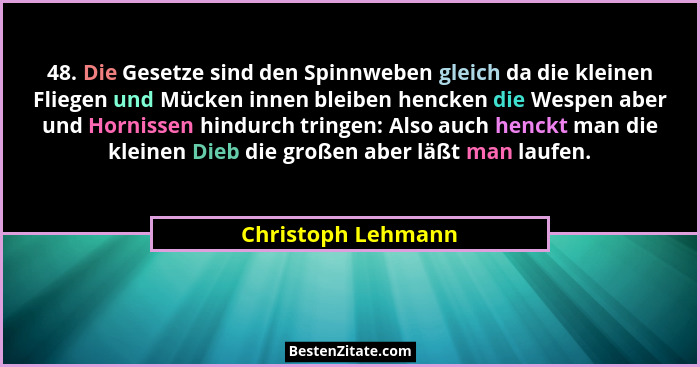 48. Die Gesetze sind den Spinnweben gleich da die kleinen Fliegen und Mücken innen bleiben hencken die Wespen aber und Hornissen h... - Christoph Lehmann