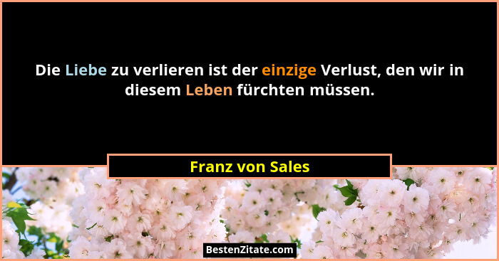 Die Liebe zu verlieren ist der einzige Verlust, den wir in diesem Leben fürchten müssen.... - Franz von Sales