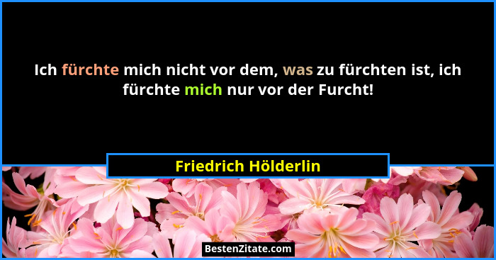 Ich fürchte mich nicht vor dem, was zu fürchten ist, ich fürchte mich nur vor der Furcht!... - Friedrich Hölderlin