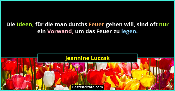 Die Ideen, für die man durchs Feuer gehen will, sind oft nur ein Vorwand, um das Feuer zu legen.... - Jeannine Luczak