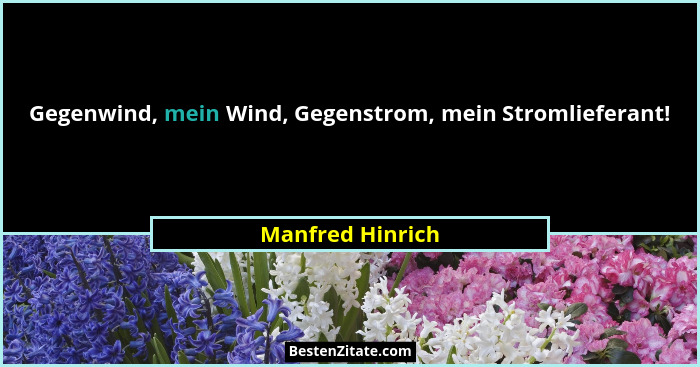 Gegenwind, mein Wind, Gegenstrom, mein Stromlieferant!... - Manfred Hinrich