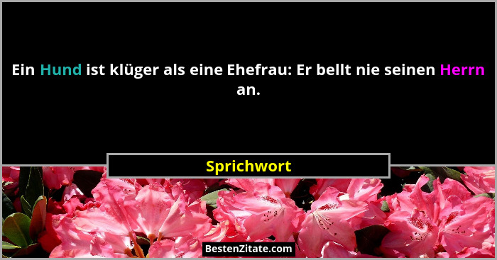 Ein Hund ist klüger als eine Ehefrau: Er bellt nie seinen Herrn an.... - Sprichwort
