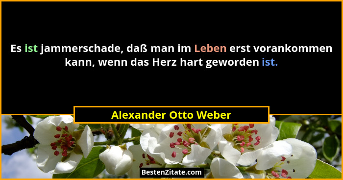 Es ist jammerschade, daß man im Leben erst vorankommen kann, wenn das Herz hart geworden ist.... - Alexander Otto Weber