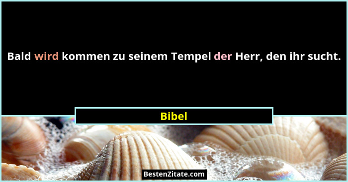 Bald wird kommen zu seinem Tempel der Herr, den ihr sucht.... - Bibel