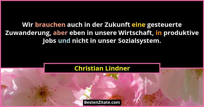 Wir brauchen auch in der Zukunft eine gesteuerte Zuwanderung, aber eben in unsere Wirtschaft, in produktive Jobs und nicht in unse... - Christian Lindner