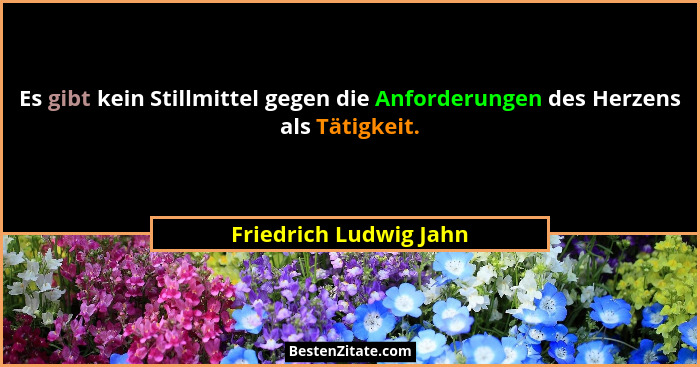 Es gibt kein Stillmittel gegen die Anforderungen des Herzens als Tätigkeit.... - Friedrich Ludwig Jahn