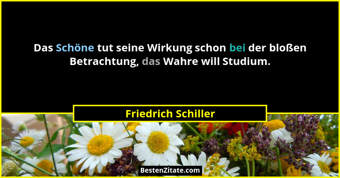 Das Schöne tut seine Wirkung schon bei der bloßen Betrachtung, das Wahre will Studium.... - Friedrich Schiller