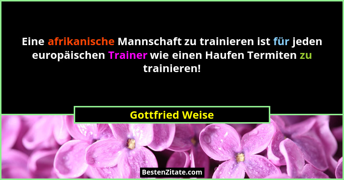 Eine afrikanische Mannschaft zu trainieren ist für jeden europäischen Trainer wie einen Haufen Termiten zu trainieren!... - Gottfried Weise