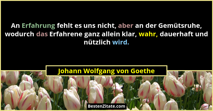 An Erfahrung fehlt es uns nicht, aber an der Gemütsruhe, wodurch das Erfahrene ganz allein klar, wahr, dauerhaft und nütz... - Johann Wolfgang von Goethe