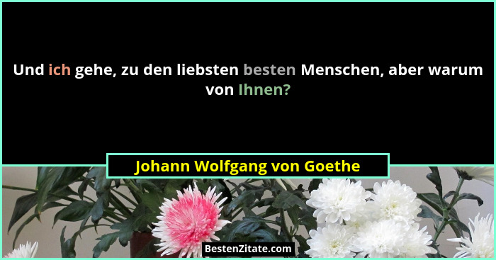 Und ich gehe, zu den liebsten besten Menschen, aber warum von Ihnen?... - Johann Wolfgang von Goethe