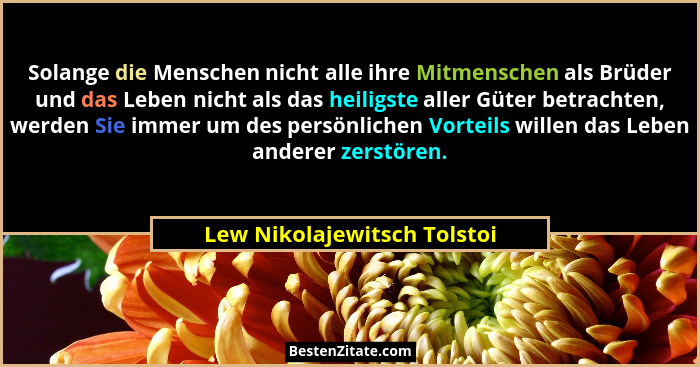 Solange die Menschen nicht alle ihre Mitmenschen als Brüder und das Leben nicht als das heiligste aller Güter betrachten,... - Lew Nikolajewitsch Tolstoi
