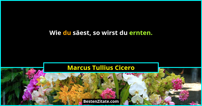 Wie du säest, so wirst du ernten.... - Marcus Tullius Cicero