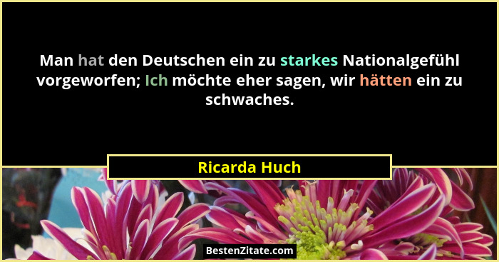 Man hat den Deutschen ein zu starkes Nationalgefühl vorgeworfen; Ich möchte eher sagen, wir hätten ein zu schwaches.... - Ricarda Huch