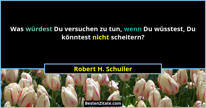 Was würdest Du versuchen zu tun, wenn Du wüsstest, Du könntest nicht scheitern?... - Robert H. Schuller