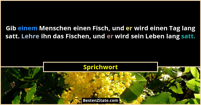 Gib einem Menschen einen Fisch, und er wird einen Tag lang satt. Lehre ihn das Fischen, und er wird sein Leben lang satt.... - Sprichwort