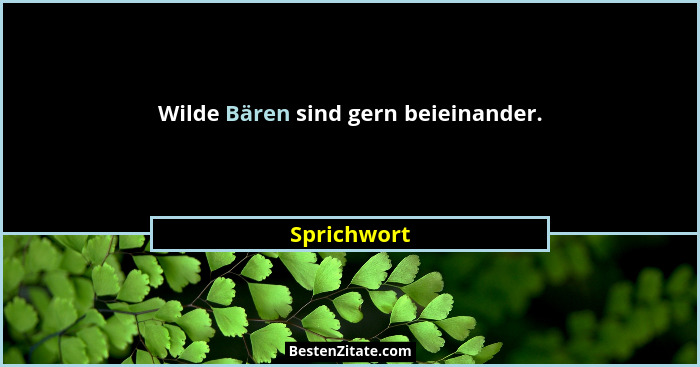 Wilde Bären sind gern beieinander.... - Sprichwort