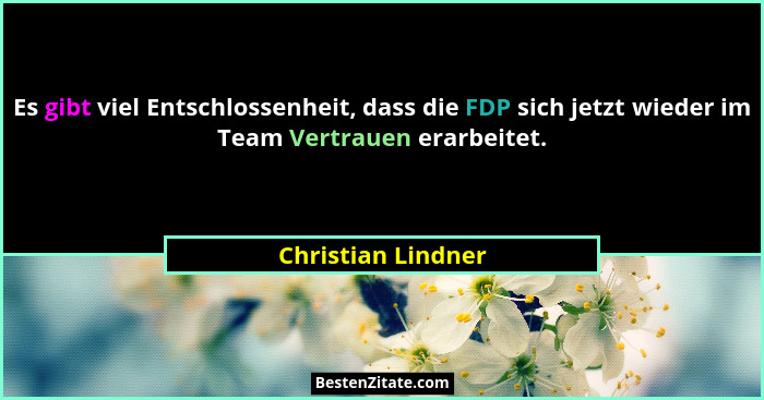 Es gibt viel Entschlossenheit, dass die FDP sich jetzt wieder im Team Vertrauen erarbeitet.... - Christian Lindner