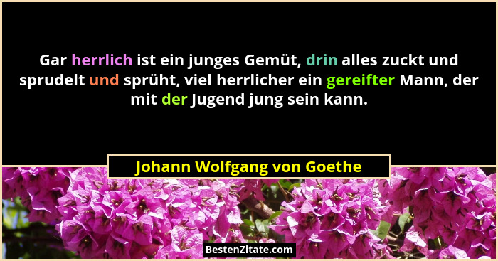 Gar herrlich ist ein junges Gemüt, drin alles zuckt und sprudelt und sprüht, viel herrlicher ein gereifter Mann, der mit... - Johann Wolfgang von Goethe