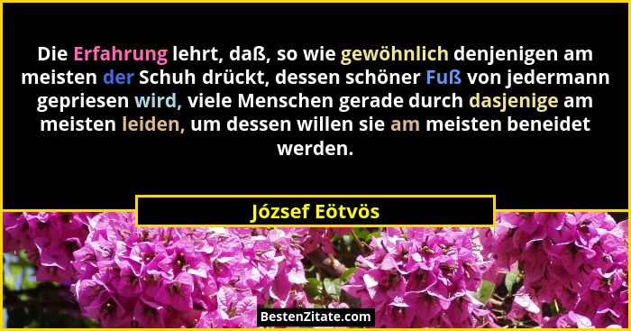 Die Erfahrung lehrt, daß, so wie gewöhnlich denjenigen am meisten der Schuh drückt, dessen schöner Fuß von jedermann gepriesen wird, v... - József Eötvös
