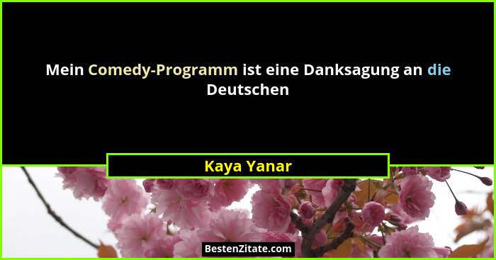 Mein Comedy-Programm ist eine Danksagung an die Deutschen... - Kaya Yanar