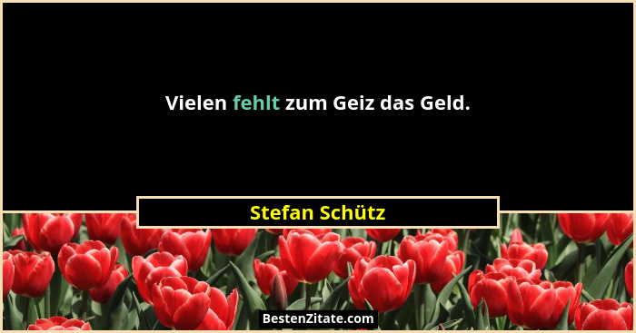 Vielen fehlt zum Geiz das Geld.... - Stefan Schütz