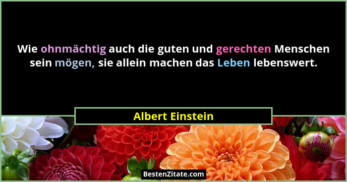 Wie ohnmächtig auch die guten und gerechten Menschen sein mögen, sie allein machen das Leben lebenswert.... - Albert Einstein