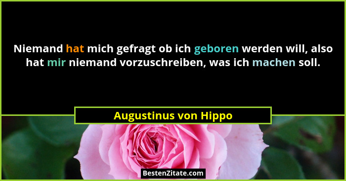 Niemand hat mich gefragt ob ich geboren werden will, also hat mir niemand vorzuschreiben, was ich machen soll.... - Augustinus von Hippo