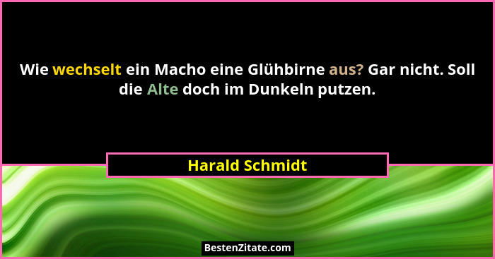 Wie wechselt ein Macho eine Glühbirne aus? Gar nicht. Soll die Alte doch im Dunkeln putzen.... - Harald Schmidt