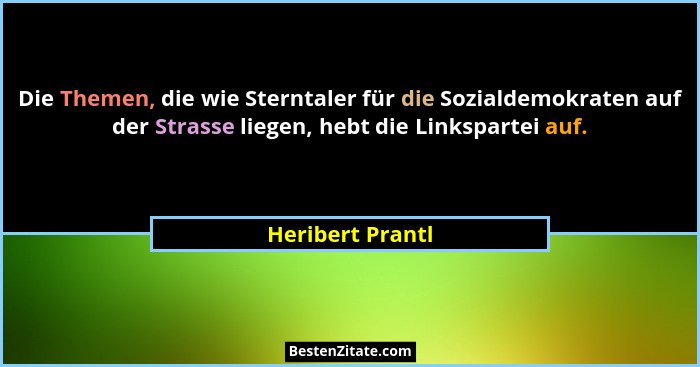 Die Themen, die wie Sterntaler für die Sozialdemokraten auf der Strasse liegen, hebt die Linkspartei auf.... - Heribert Prantl