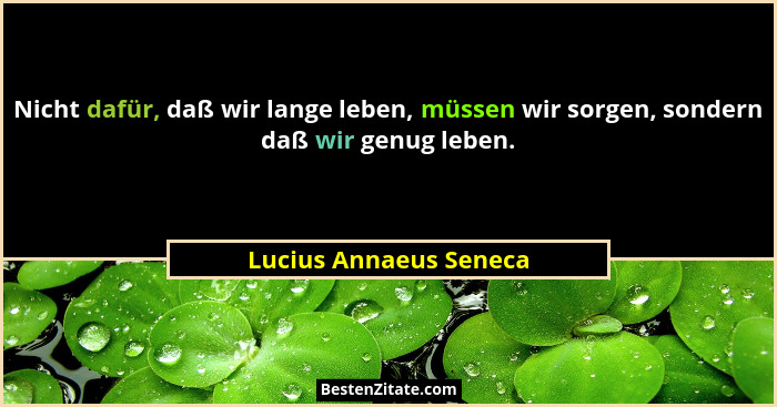 Nicht dafür, daß wir lange leben, müssen wir sorgen, sondern daß wir genug leben.... - Lucius Annaeus Seneca