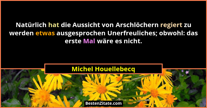 Natürlich hat die Aussicht von Arschlöchern regiert zu werden etwas ausgesprochen Unerfreuliches; obwohl: das erste Mal wäre es n... - Michel Houellebecq
