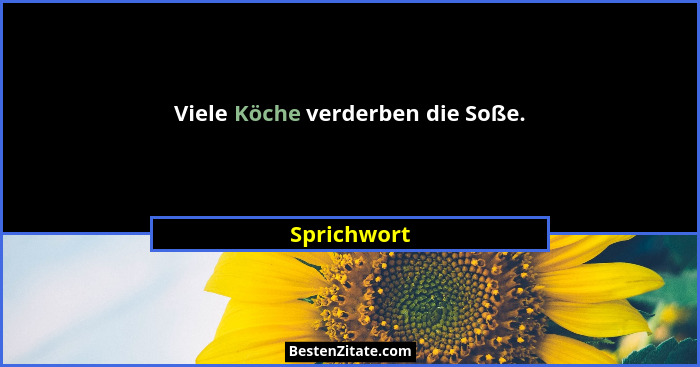 Viele Köche verderben die Soße.... - Sprichwort