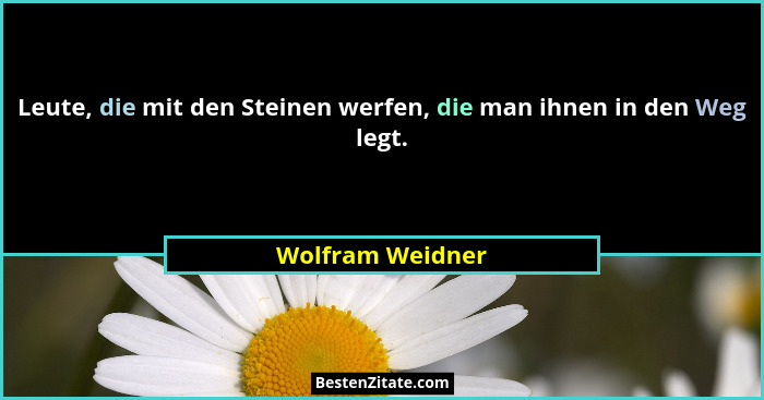 Leute, die mit den Steinen werfen, die man ihnen in den Weg legt.... - Wolfram Weidner