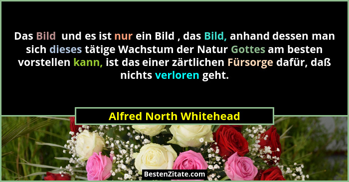 Das Bild  und es ist nur ein Bild , das Bild, anhand dessen man sich dieses tätige Wachstum der Natur Gottes am besten vorste... - Alfred North Whitehead