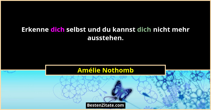 Erkenne dich selbst und du kannst dich nicht mehr ausstehen.... - Amélie Nothomb