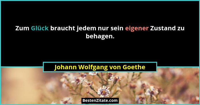 Zum Glück braucht jedem nur sein eigener Zustand zu behagen.... - Johann Wolfgang von Goethe