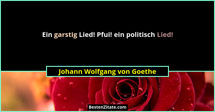Ein garstig Lied! Pfui! ein politisch Lied!... - Johann Wolfgang von Goethe