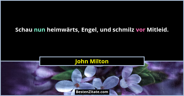 Schau nun heimwärts, Engel, und schmilz vor Mitleid.... - John Milton