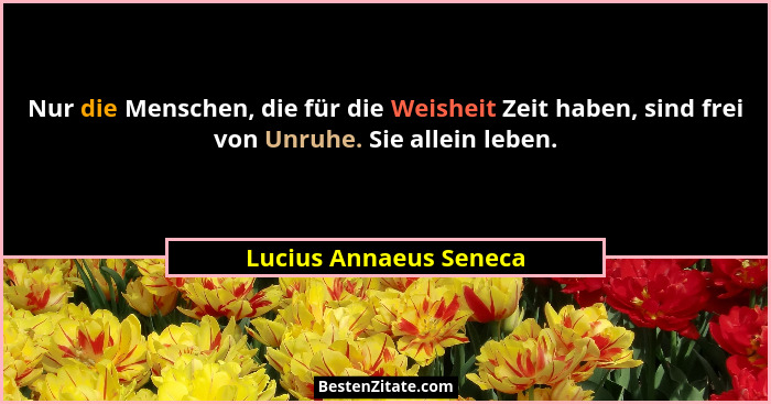 Nur die Menschen, die für die Weisheit Zeit haben, sind frei von Unruhe. Sie allein leben.... - Lucius Annaeus Seneca