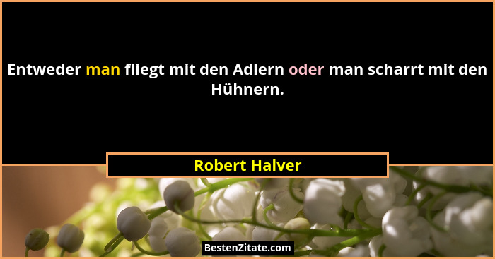 Entweder man fliegt mit den Adlern oder man scharrt mit den Hühnern.... - Robert Halver