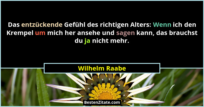 Das entzückende Gefühl des richtigen Alters: Wenn ich den Krempel um mich her ansehe und sagen kann, das brauchst du ja nicht mehr.... - Wilhelm Raabe