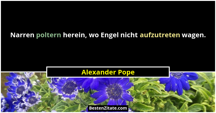 Narren poltern herein, wo Engel nicht aufzutreten wagen.... - Alexander Pope