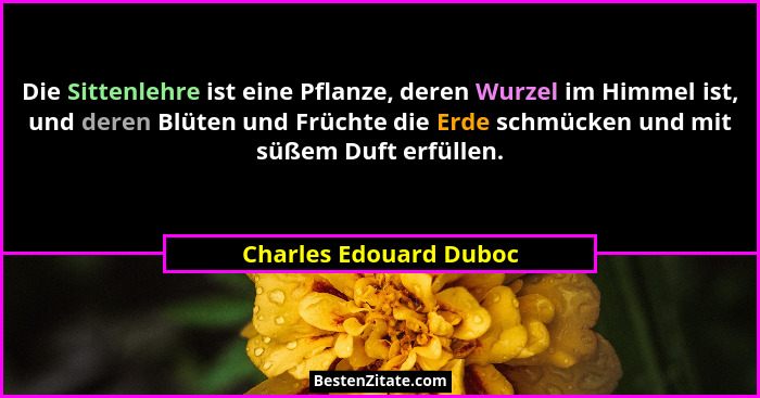 Die Sittenlehre ist eine Pflanze, deren Wurzel im Himmel ist, und deren Blüten und Früchte die Erde schmücken und mit süßem Du... - Charles Edouard Duboc